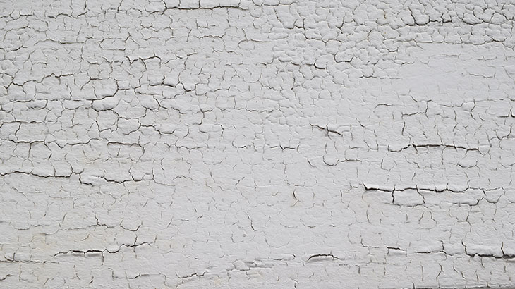 塗装が剥がれている